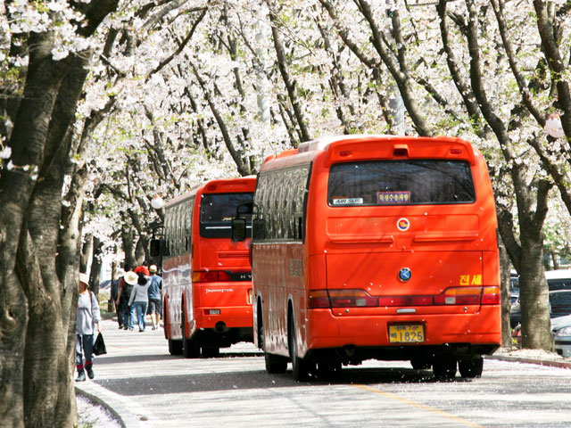 부산전세버스협동조합 이미지